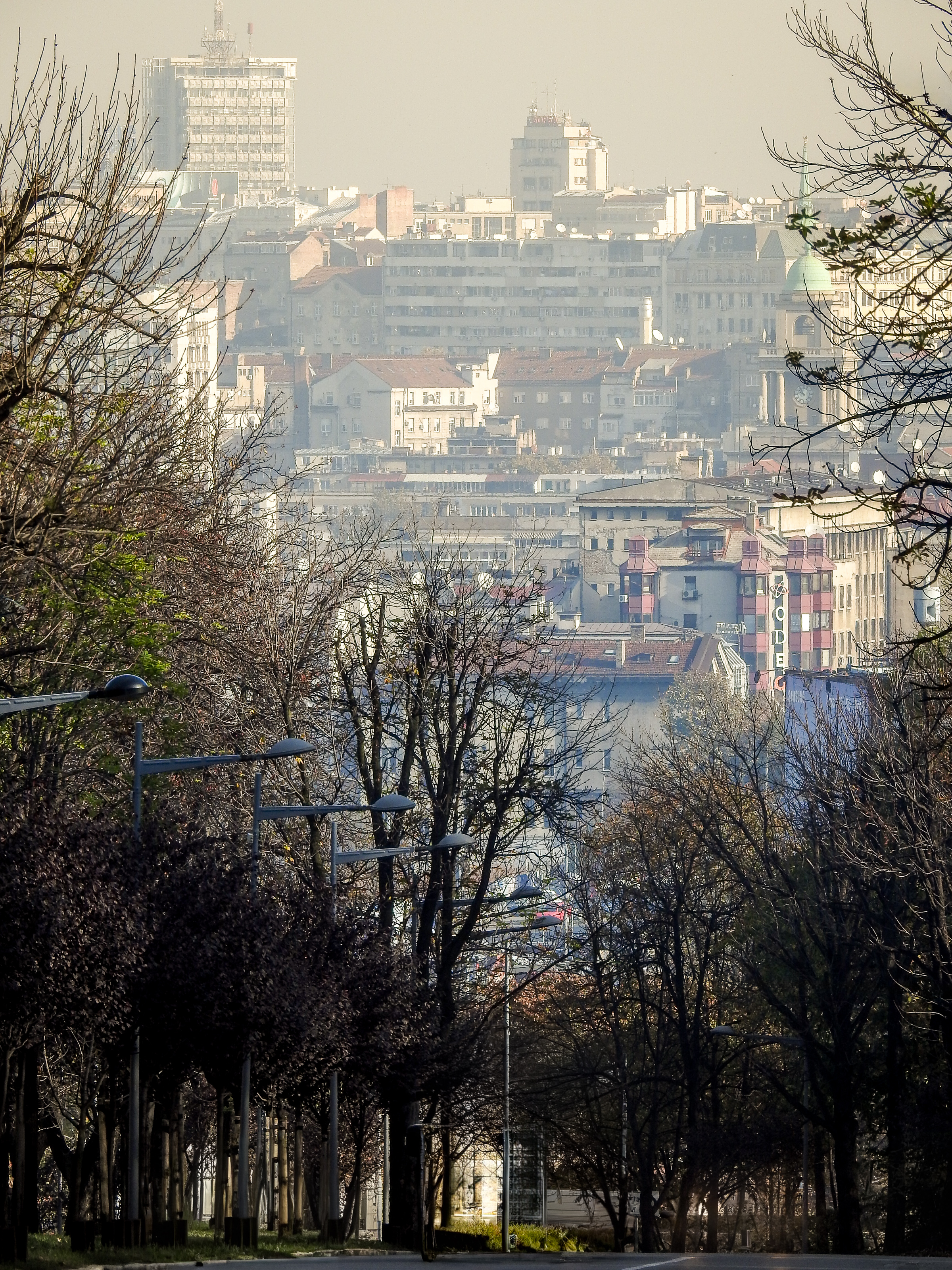 Pogled na Beograd sa Senjaka i drvored u Ulici kneza Miloša